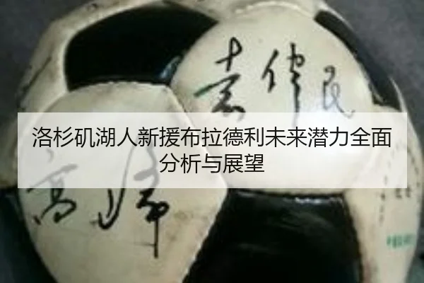 洛杉矶湖人新援布拉德利未来潜力全面分析与展望